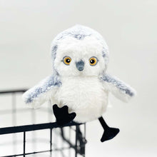Load image into Gallery viewer, Rechargeable, Interactive Cat Exercise Toys, Lifelike Bird