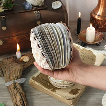 Load image into Gallery viewer, Abalone Shell/Lion’s Paw Shell/Scallop Shell Journal