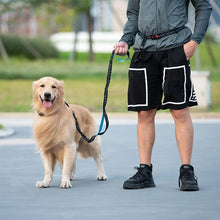 Load image into Gallery viewer, Hands Free Dog Leash With Zipper Pouch