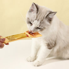 Load image into Gallery viewer, Cat Strip Squeeze Spoon