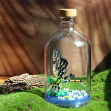 Load image into Gallery viewer, Insect Collection Building Blocks with Glass Display Bottle