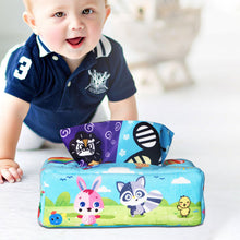 Load image into Gallery viewer, Baby Tissue Magic Box Toy