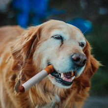 Load image into Gallery viewer, Pet cigarette toys