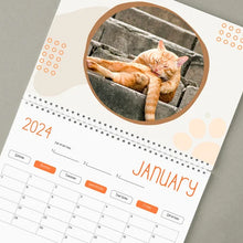 Load image into Gallery viewer, Funniest calendar of the century | Funny Cat Calendar 2024