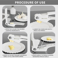 Load image into Gallery viewer, Garlic Press Stainless Steel