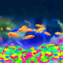 Load image into Gallery viewer, Glow In The Dark Rocks