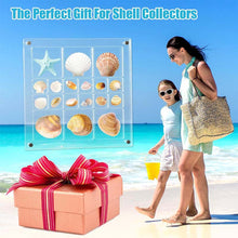 Load image into Gallery viewer, Acrylic Seashell Display Box