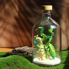 Load image into Gallery viewer, Insect Collection Building Blocks with Glass Display Bottle