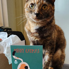 Load image into Gallery viewer, Pre-Sale>>Funny Colorful Cat Christmas Cards