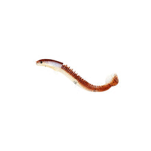 Load image into Gallery viewer, Angler Dragon Loach Lure 46 Section Soft Bait