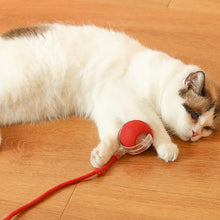 Load image into Gallery viewer, Innendørs katt interaktiv ball