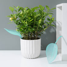 Load image into Gallery viewer, Funny Watering Leaves (6pcs)