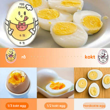 Load image into Gallery viewer, Eggklokker som skifter farge