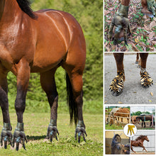 Load image into Gallery viewer, Funny Feet For Horse