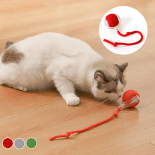 Load image into Gallery viewer, Innendørs katt interaktiv ball