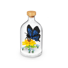 Load image into Gallery viewer, Insect Collection Building Blocks with Glass Display Bottle