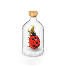 Load image into Gallery viewer, Insect Collection Building Blocks with Glass Display Bottle