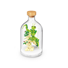 Load image into Gallery viewer, Insect Collection Building Blocks with Glass Display Bottle