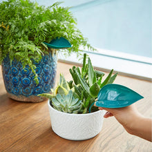 Load image into Gallery viewer, Funny Watering Leaves (6pcs)