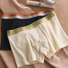 Load image into Gallery viewer, Men's Antibacterial Breathable Boxer Briefs