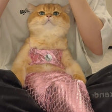 Load image into Gallery viewer, Funny Cat Mermaid Clothing