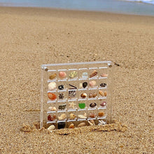 Load image into Gallery viewer, Acrylic Magnetic Seashell Display Box