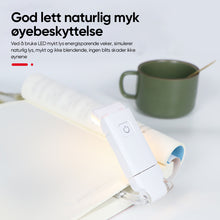 Load image into Gallery viewer, Oppladbart boklys