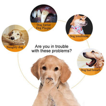 Load image into Gallery viewer, Magoloft ™ Dog Toothbrush ，Dog Chew Toy Tooth Cleaner