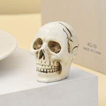 Load image into Gallery viewer, Halloween Skull Design Card Holder