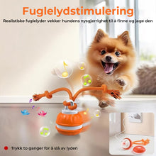 Load image into Gallery viewer, Interaktiv smart rullende ball for kjæledyr