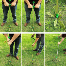 Load image into Gallery viewer, Standing Weed Puller