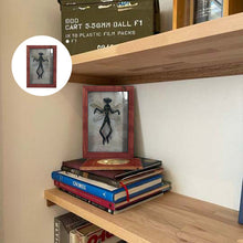 Load image into Gallery viewer, Mysterious Mummified Fairy in Frame