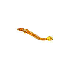 Load image into Gallery viewer, Angler Dragon Loach Lure 46 Section Soft Bait