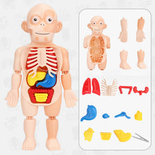 Load image into Gallery viewer, Children's Enlightenment Toys