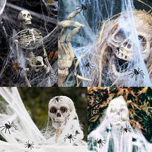 Load image into Gallery viewer, Halloween Spider Decorations Stretch Cobweb