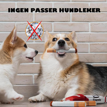 Load image into Gallery viewer, Pet sigarett leker