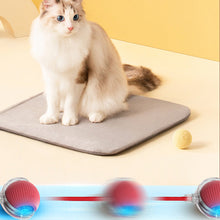 Load image into Gallery viewer, Innendørs katt interaktiv ball