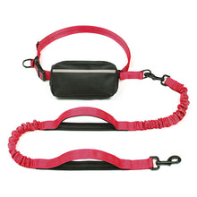 Load image into Gallery viewer, Hands Free Dog Leash With Zipper Pouch
