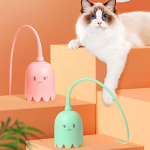 Load image into Gallery viewer, Leker for innekatter