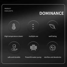 Load image into Gallery viewer, Steam Disinfection Cleaner