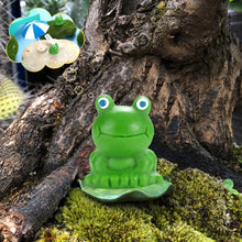 Load image into Gallery viewer, 🐸Liten frosk | Utfordrende gjemmefrosk