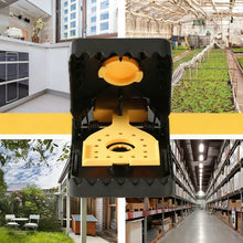 Load image into Gallery viewer, Reusable Mechanical Snap Trap
