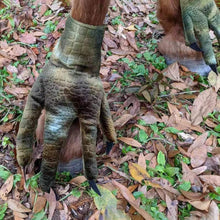 Load image into Gallery viewer, Funny Feet For Horse