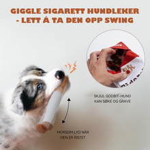 Load image into Gallery viewer, Pet sigarett leker