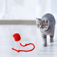 Load image into Gallery viewer, Innendørs katt interaktiv ball
