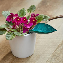 Load image into Gallery viewer, Funny Watering Leaves (6pcs)
