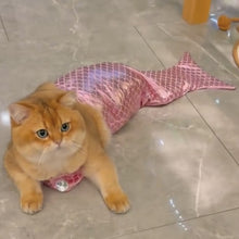 Load image into Gallery viewer, Funny Cat Mermaid Clothing