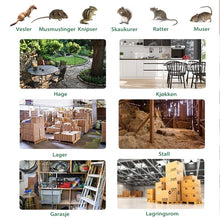 Load image into Gallery viewer, Automatisk musefelle i rustfritt stål