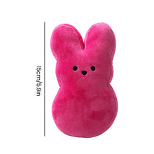 Load image into Gallery viewer, Easter Stuffed Bunny