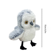 Load image into Gallery viewer, Rechargeable, Interactive Cat Exercise Toys, Lifelike Bird